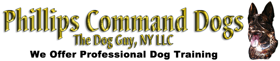 The Dog Guy ...Phillips Command Dogs of Olean NY